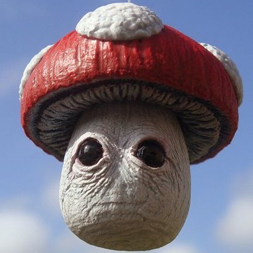 Nine Inch Mushrooms - bLiNd & Chimpazilla