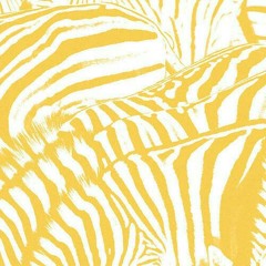 Walk in the park - beach house