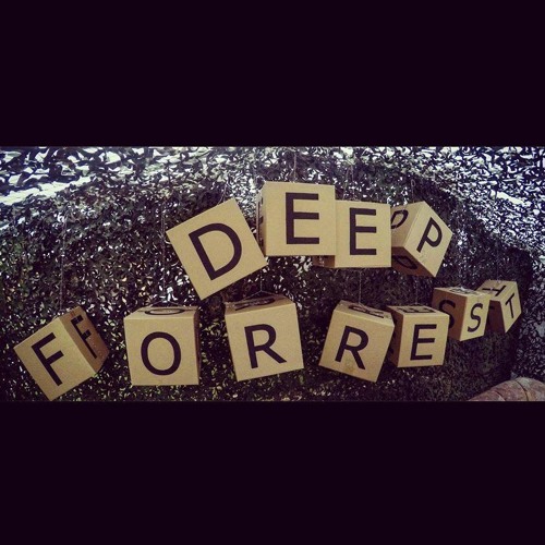 Deep Forrest Podcast #14 - Marco Fehr