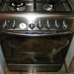 Le chat dans l'four !