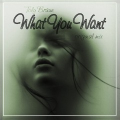 Toly Braun - What You Want (Original Mix) |  PPG Recordings |