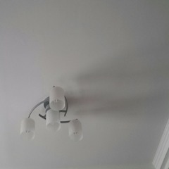 Crispy - 這世界沒有你想像的苦澀 (covered byㄋㄋ)