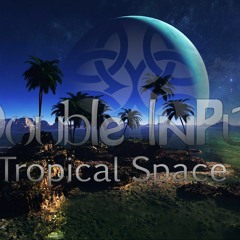 Double Input - Tropical Space (Original Mix)