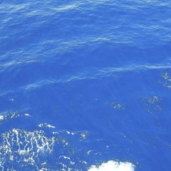 Trouble In The Water (Remix)