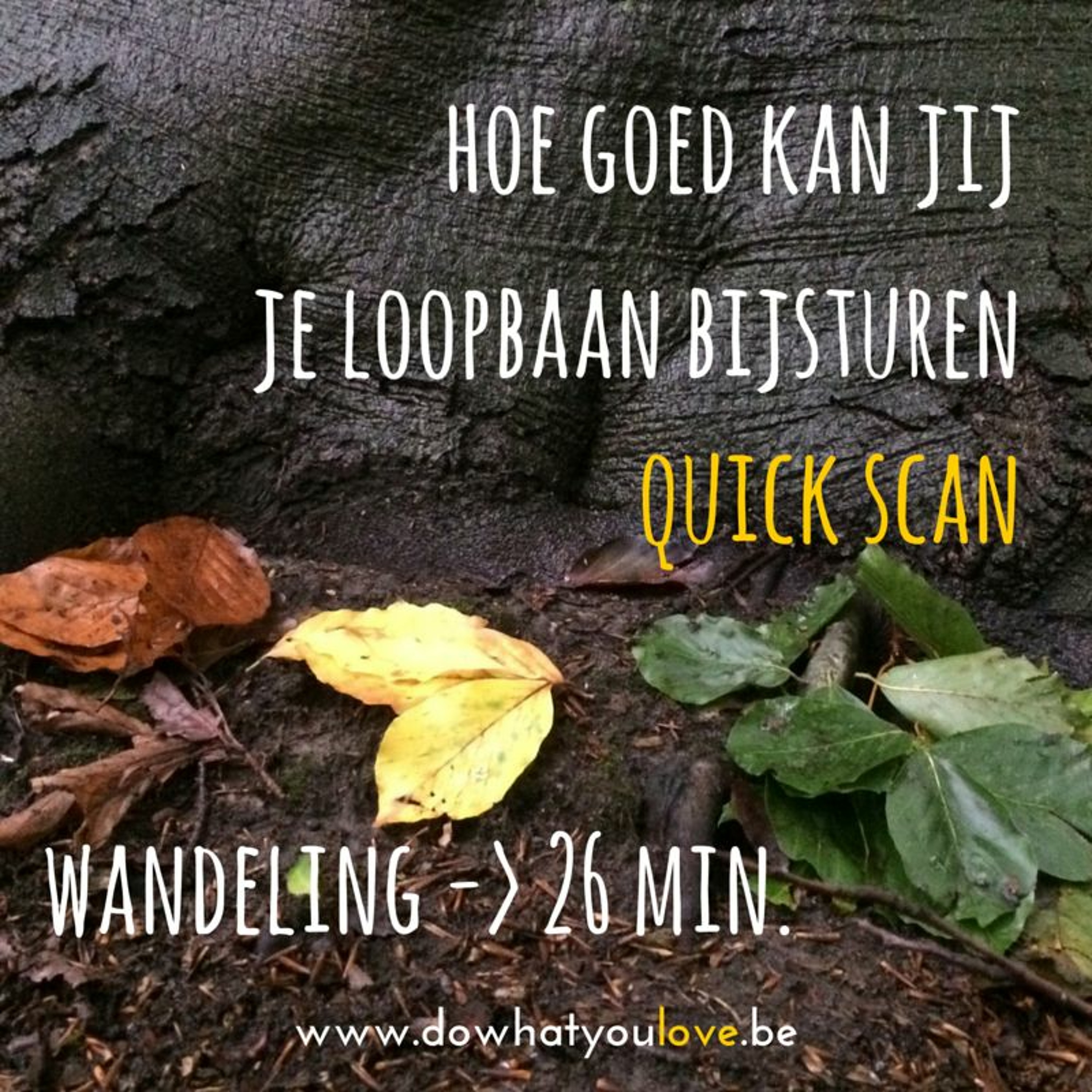 Outdoor loopbaan coaching