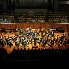 Concentric Circles by Fuhong SHI 2009