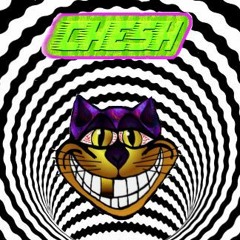 Bring It On - [Rusko] (CHESH Bootleg) **Free Download**