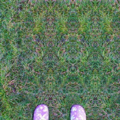 Maury; You Are Not The Father.