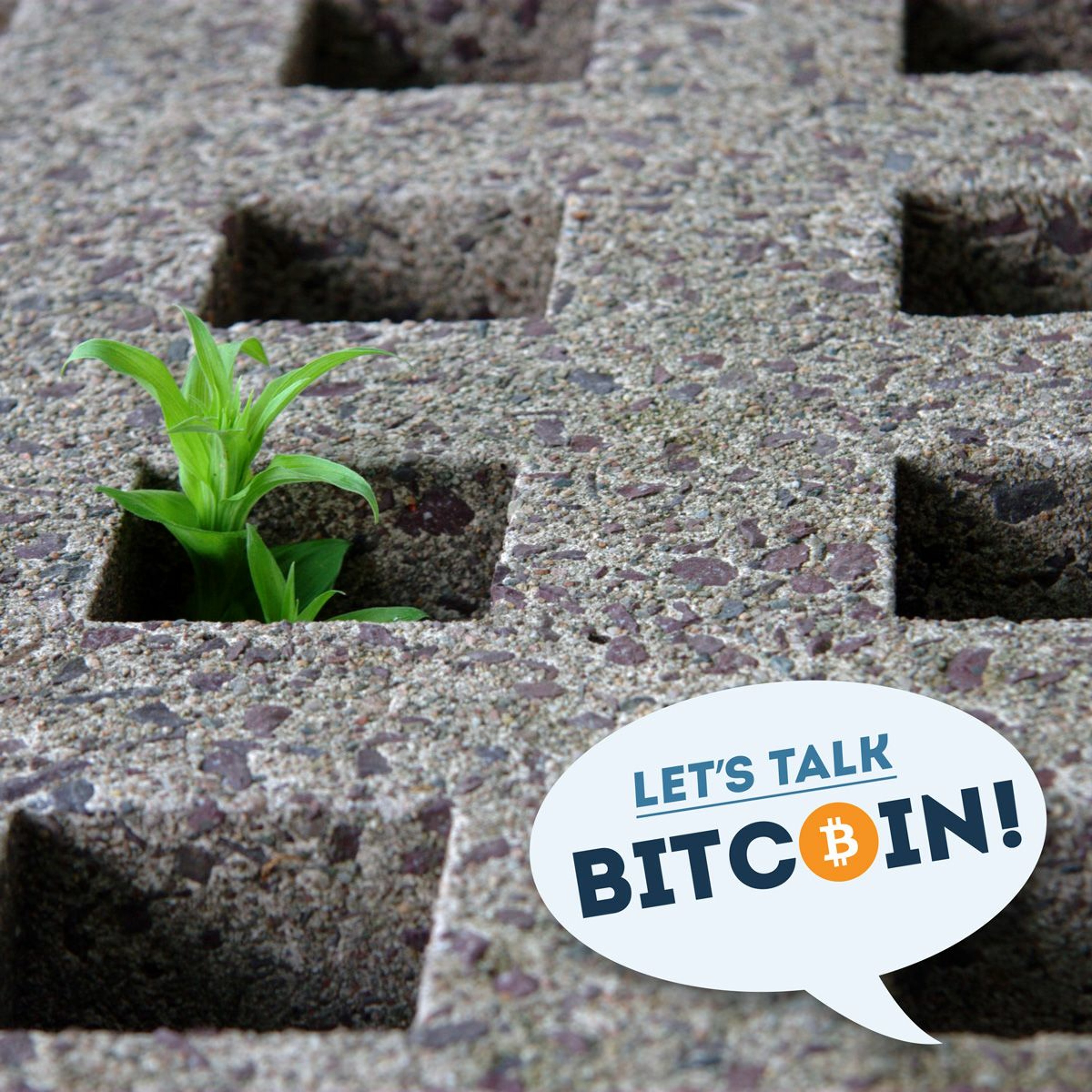 LTB E260 - New Growth