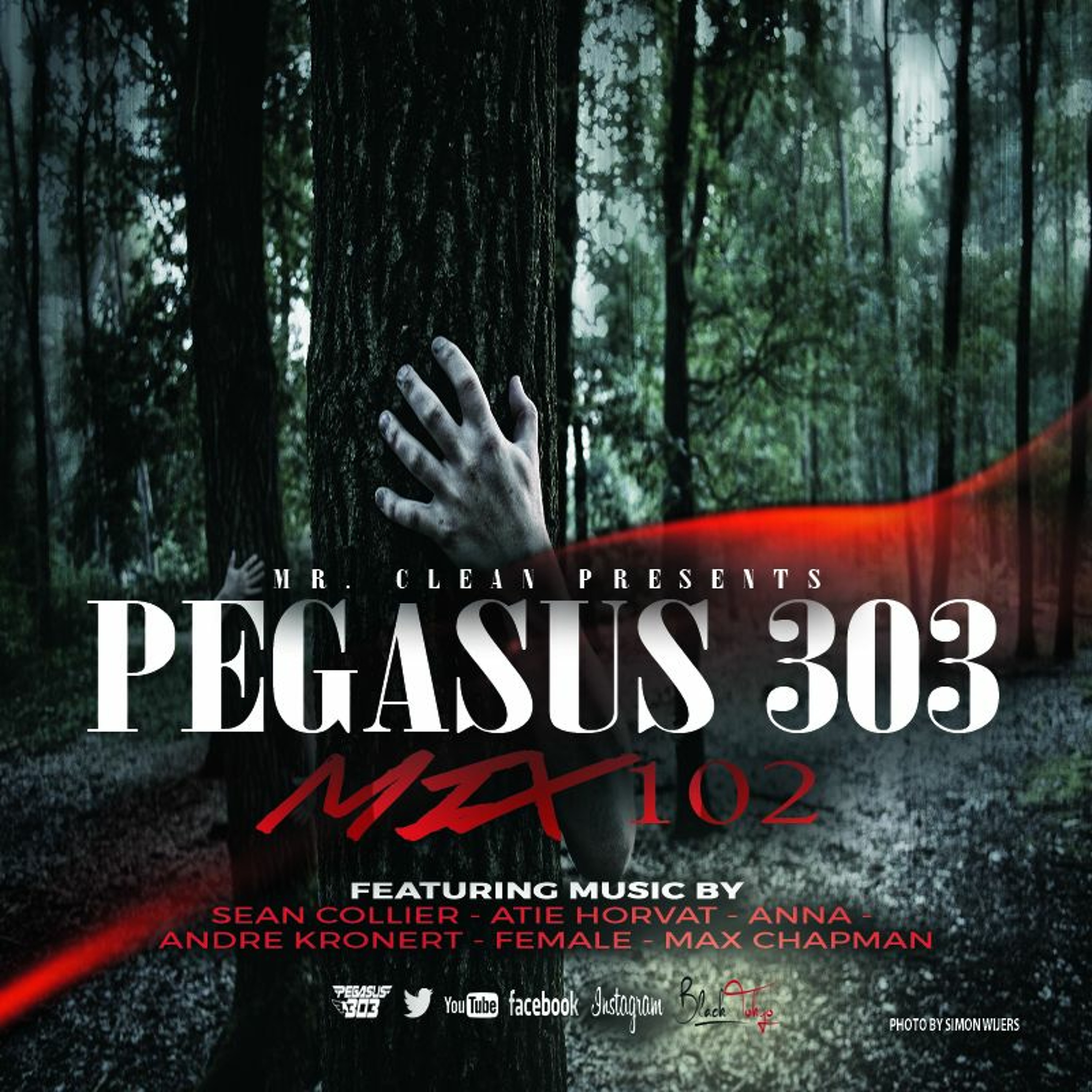 Pegasus 303 (mrclean)