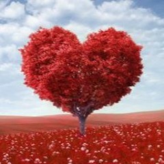 Limpa O Meu Coração   Rogerio Luis