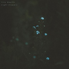 Stream Tiny Deaths Listen To Night Flowers Playlist Online For Free On Soundcloud