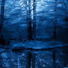 Lost in the Winter Forest (2015 Remaster)