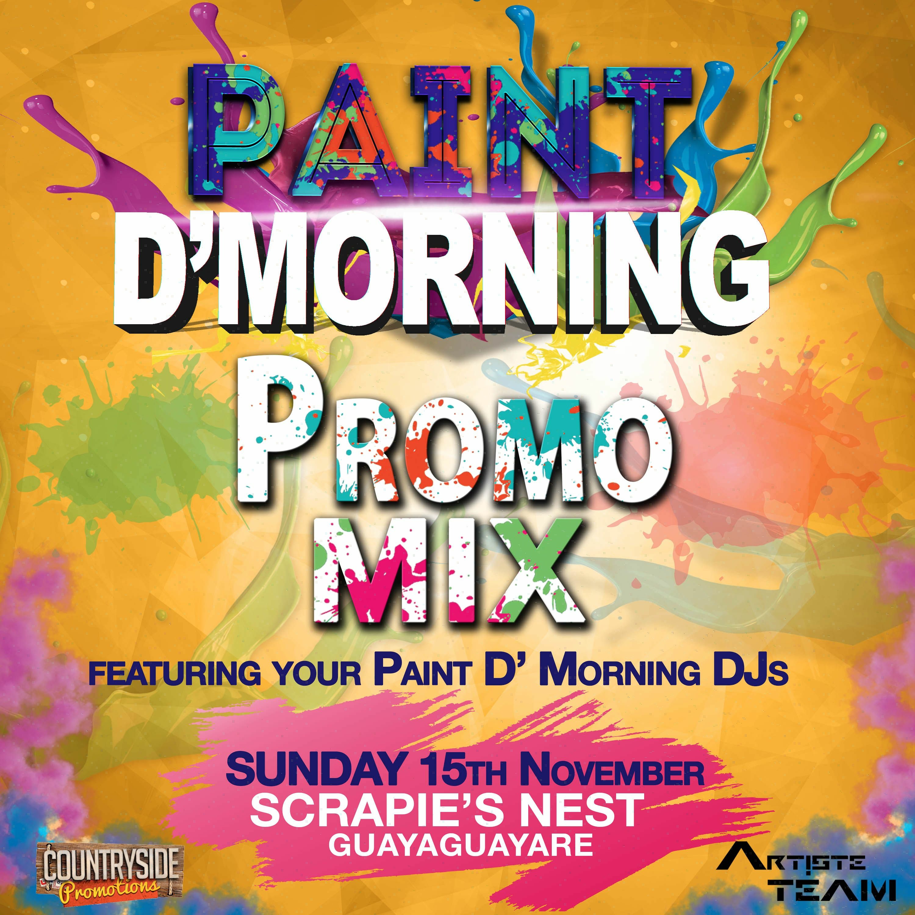 Paint D' Morning (Fresstyle Promo Mix)