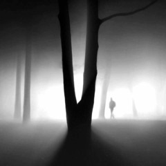 Into The Night