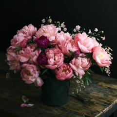 ❃ Amal ❃