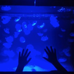 But Captain, Our Sensors Detect No Life