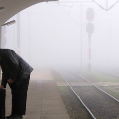 Dodeskaden Från Pest till Rest