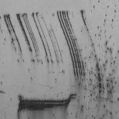 ruediger blank/stefan schmidt -  dff_0661 (excerpt)