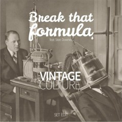 Vintage Culture - Break That Formula Feat Stee Downes