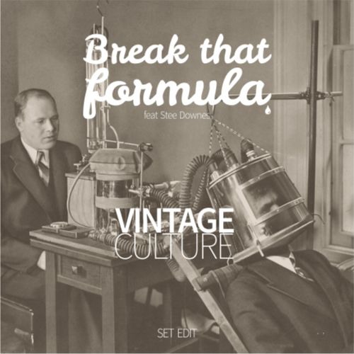 Vintage Culture - Break That Formula Feat Stee Downes