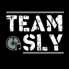 Team Sly - What's This Then Slut (DJ Tool)