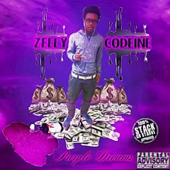 12. Zelly Codeine - 2 Doors Down [Prod By. Beat Boii]