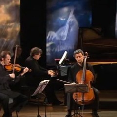 Schubert Piano Trio Op. 100 - Andante Con Moto