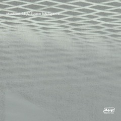 Mindcast.25 // Swarm Intelligence