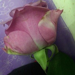 #SingingEnglish #2015 Jesse ft. Peter - Endless Love ( Mariah Carey ft. Luther Vandross) #Covers