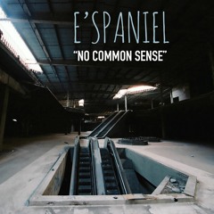 No Common Sense
