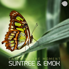 Suntree & Emok - Catching the Moment (Original Mix)