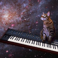 T-FUNK  -  Funk in the trunk