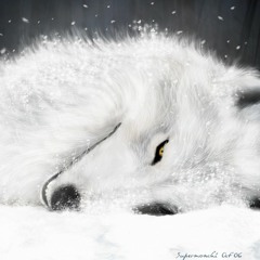 [Maria] Wolfs Rain - Gravity