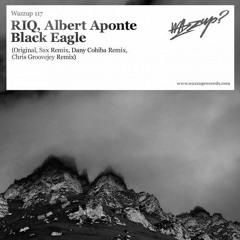 Black Eagle (Chris Groovejey Remix)