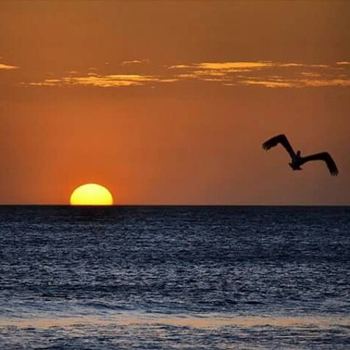 bugle-always there [cordiac bass riddim] june 2O10.mp3