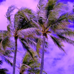 Palms And Pines.