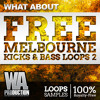 Video herunterladen: FREE Melbourne Kicks & Bass Loops 2 + Sylenth1 Presets ! (W. A. Production)