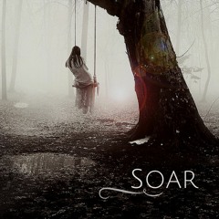 Soar (feat. Efrat Darky)