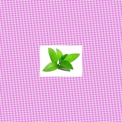 Sweet Yogurt X Liquid - Peppermint