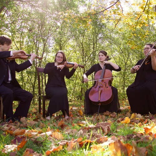 Stream Bruno Mars Just The Way You Are String Quartet by White Pines