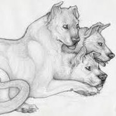 Cerberus