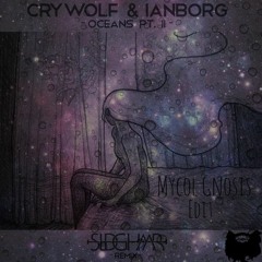 Oceans Pt. II [SLDGHMR Remix] [Mycol Gnosis Edit]