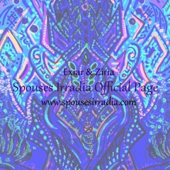 SPOUSES IRRADIA  Radium-226,  (Strong Echo)