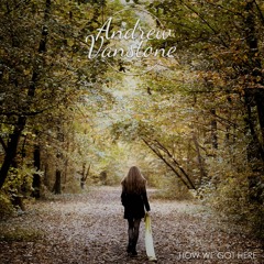 How We Got Here by Andrew Vanstone