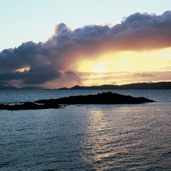 Gnats spiral a sunbeam death dance