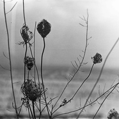 Recondite - Poised