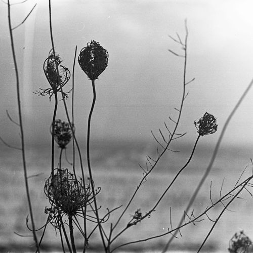 Recondite - Poised
