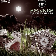 E - Way - SnakeInTheGrass FREESTYLE (Master)