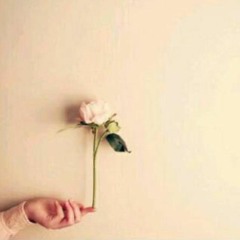 رقّة يَاسمينَة  ❀